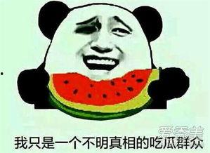 吃瓜群众是比喻吗,网络时代的比喻解析